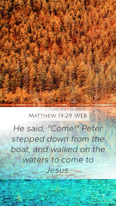 Matthew 14:29 WEB Mobile Phone Wallpaper - He said, 