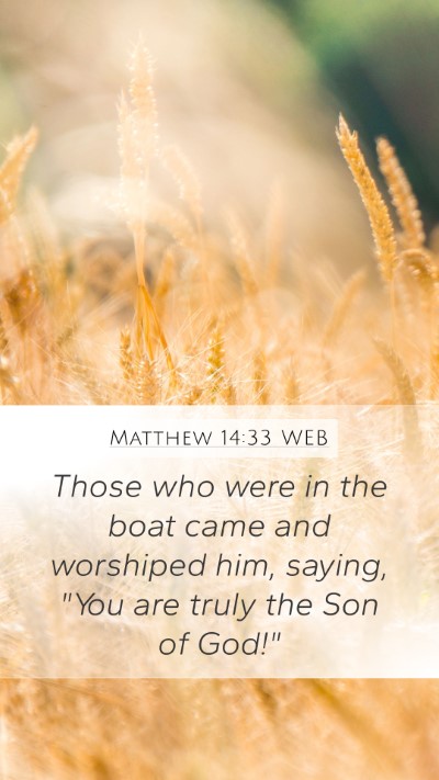 Matthew 14:33 WEB Bible Verse Image