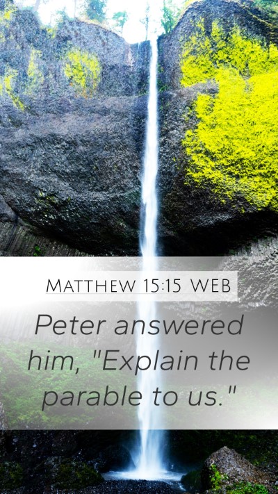 Matthew 15:15 WEB Mobile Phone Wallpaper - Peter answered him, 