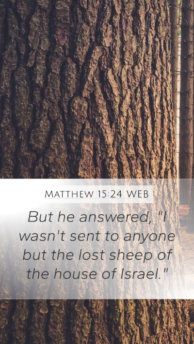 Matthew 15:24 WEB Bible Verse Image