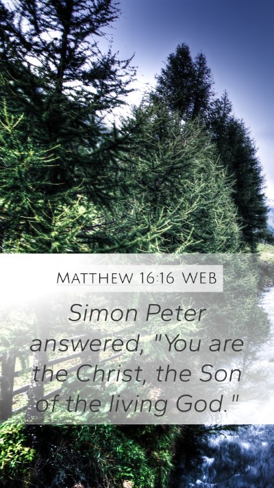 Matthew 16:16 WEB Bible Verse Image
