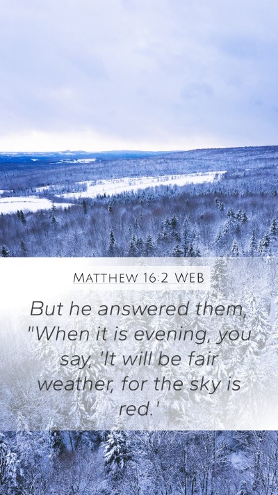 Matthew 16:2 WEB Bible Verse Image
