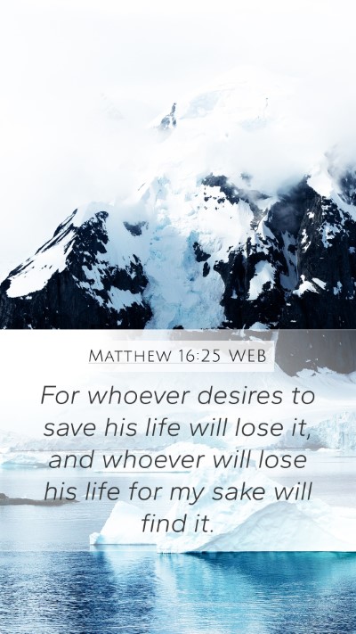 Matthew 16:25 WEB Bible Verse Image