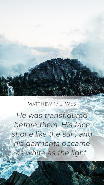 Matthew 17:2 WEB Bible Verse Image