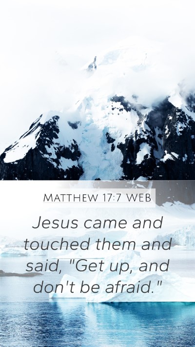 Matthew 17:7 WEB Mobile Phone Wallpaper - Jesus came and touched them and said, 