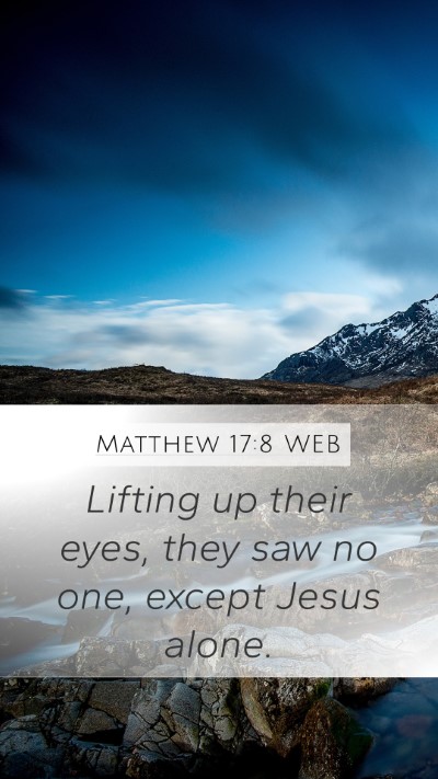 Matthew 17:8 WEB Mobile Phone Wallpaper - Lifting up their eyes, they saw no one, except - Mobile Bible Verse Wallpaper
