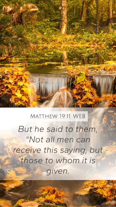 Matthew 19:11 WEB Bible Verse Image