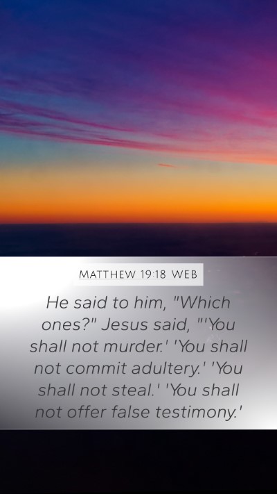 Matthew 19:18 WEB Bible Verse Image