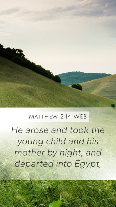 Matthew 2:14 WEB Mobile Phone Wallpaper - He arose and took the young child and his mother - Mobile Bible Verse Wallpaper