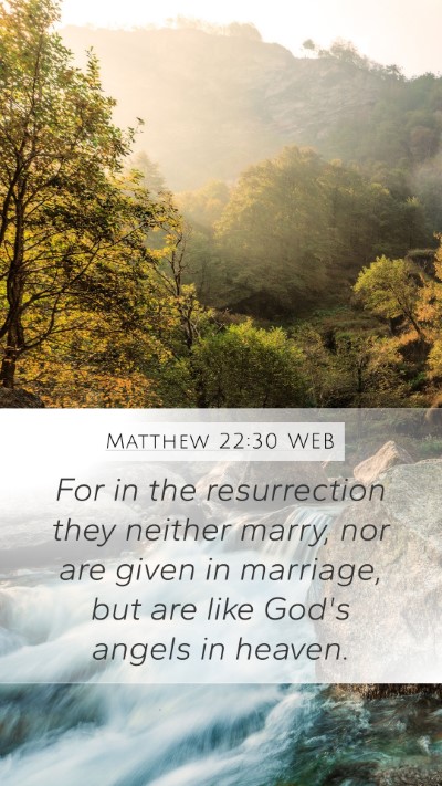 Matthew 22:30 WEB Bible Verse Image