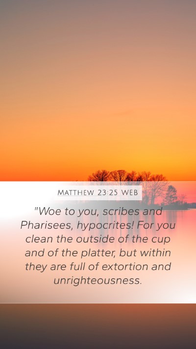 Matthew 23:25 WEB Bible Verse Image