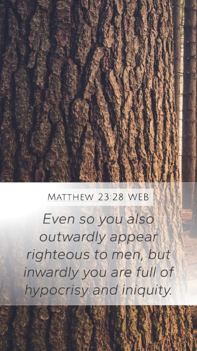 Matthew 23:28 WEB Bible Verse Image