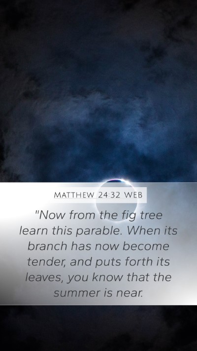 Matthew 24:32 WEB Bible Verse Image