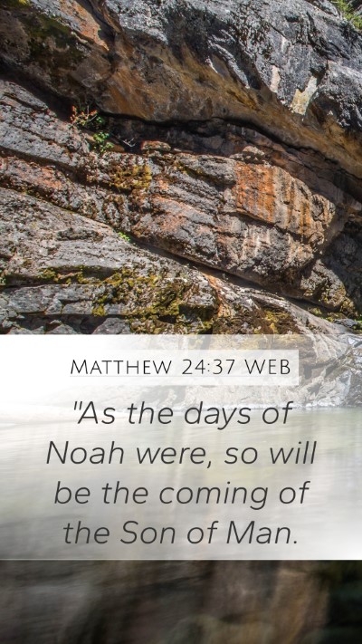 Matthew 24:37 WEB Bible Verse Image
