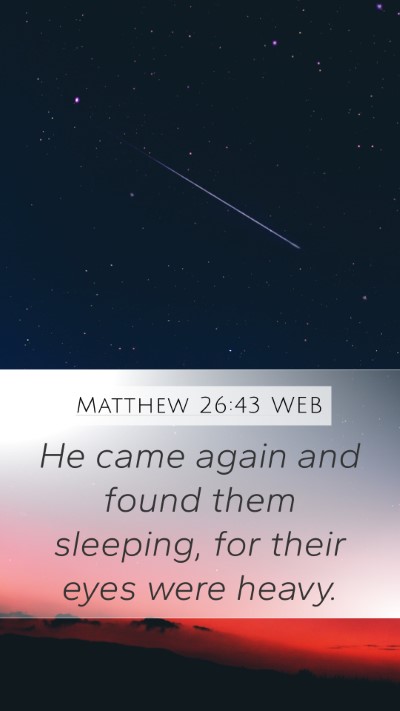 Matthew 26:43 WEB Mobile Phone Wallpaper - He came again and found them sleeping, for their - Mobile Bible Verse Wallpaper