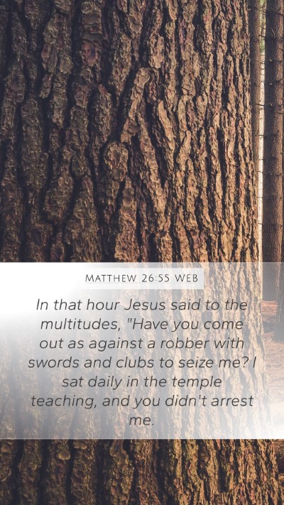 Matthew 26:55 WEB Bible Verse Image