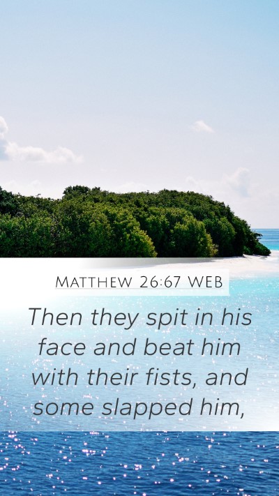Matthew 26:67 WEB Bible Verse Image