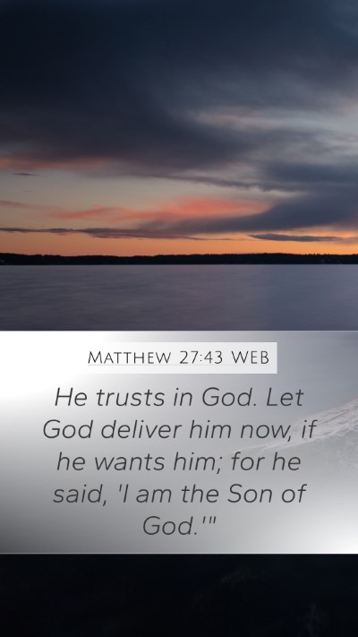Matthew 27:43 WEB Mobile Phone Wallpaper - He trusts in God. Let God deliver him now, if he - Mobile Bible Verse Wallpaper