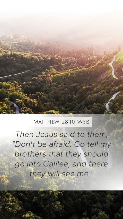 Matthew 28:10 WEB Mobile Phone Wallpaper - Then Jesus said to them, 