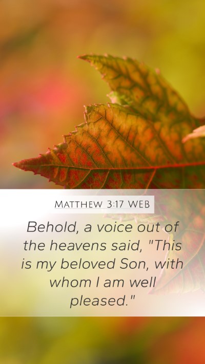 Matthew 3:17 WEB Bible Verse Image