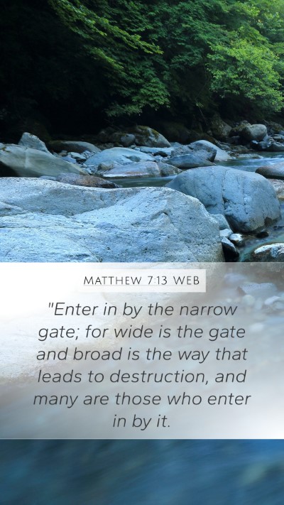 Matthew 7:13 WEB Bible Verse Image