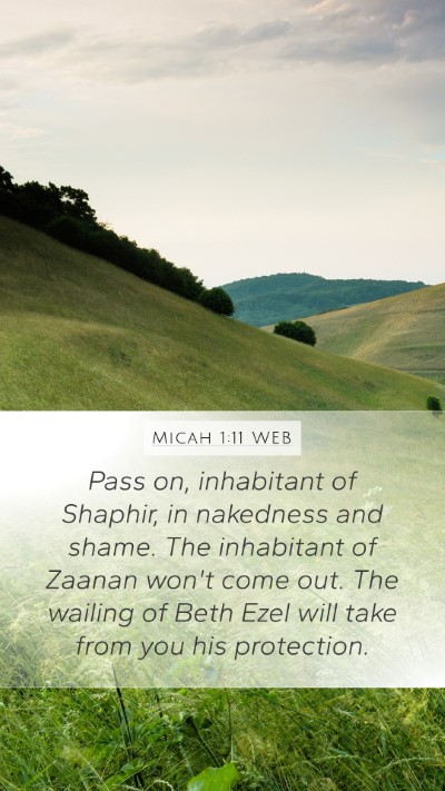 Micah 1:11 WEB Bible Verse Image