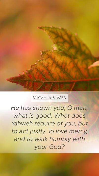 Micah 6:8 WEB Bible Verse Image