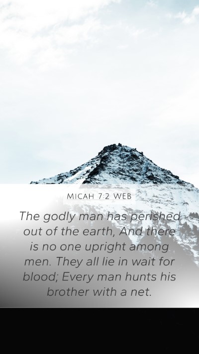 Micah 7:2 WEB Bible Verse Image