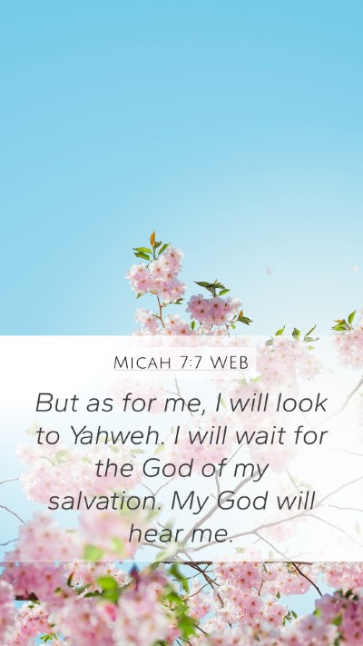 Micah 7:7 WEB Bible Verse Image