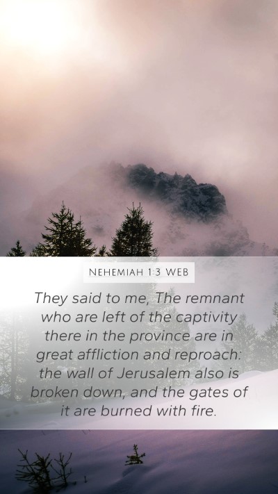 Nehemiah 1:3 WEB Bible Verse Image