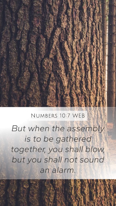 Numbers 10:7 WEB Mobile Phone Wallpaper - But when the assembly is to be gathered together, - Mobile Bible Verse Wallpaper
