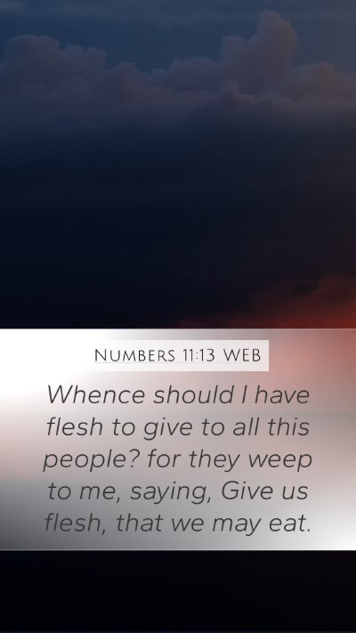 Numbers 11:13 WEB Bible Verse Image