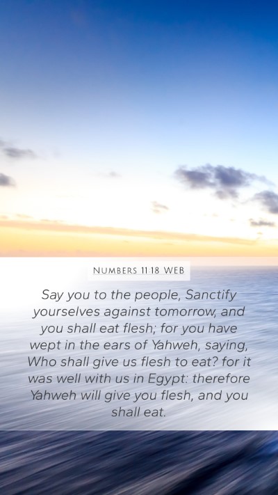 Numbers 11:18 WEB Mobile Phone Wallpaper - Say you to the people, Sanctify yourselves - Mobile Bible Verse Wallpaper