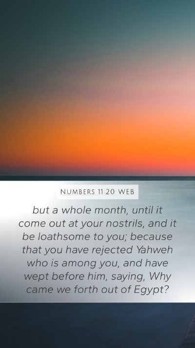 Numbers 11:20 WEB Mobile Phone Wallpaper - but a whole month, until it come out at your - Mobile Bible Verse Wallpaper
