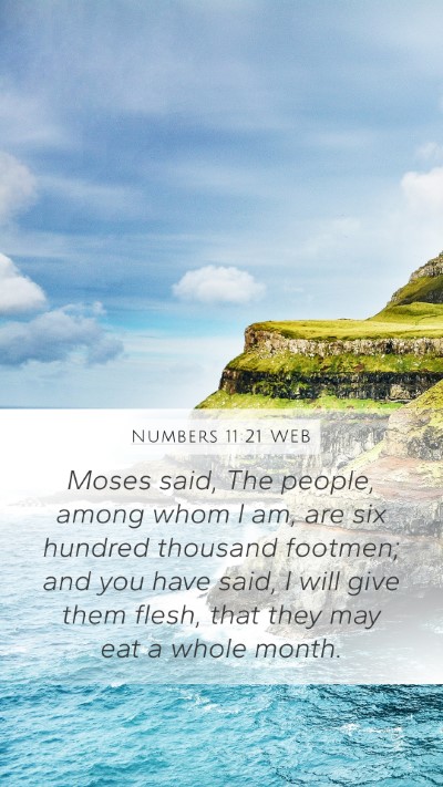 Numbers 11:21 WEB Bible Verse Image