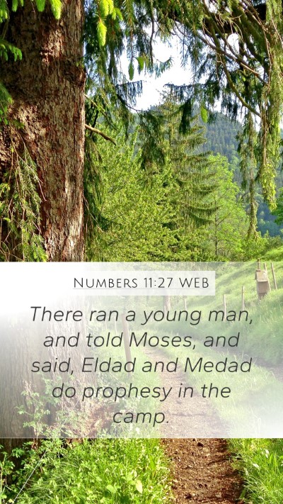 Numbers 11:27 WEB Bible Verse Image