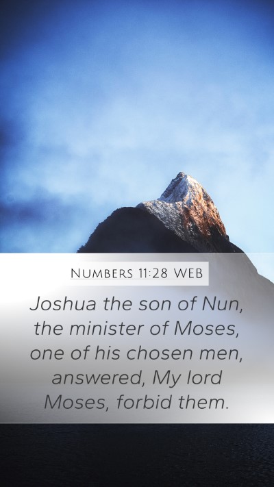 Numbers 11:28 WEB Bible Verse Image