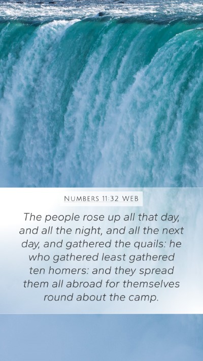 Numbers 11:32 WEB Mobile Phone Wallpaper - The people rose up all that day, and all the - Mobile Bible Verse Wallpaper