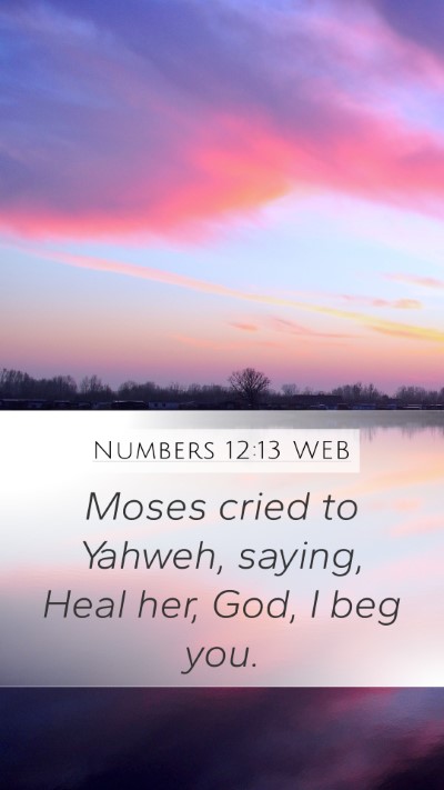 Numbers 12:13 WEB Bible Verse Image