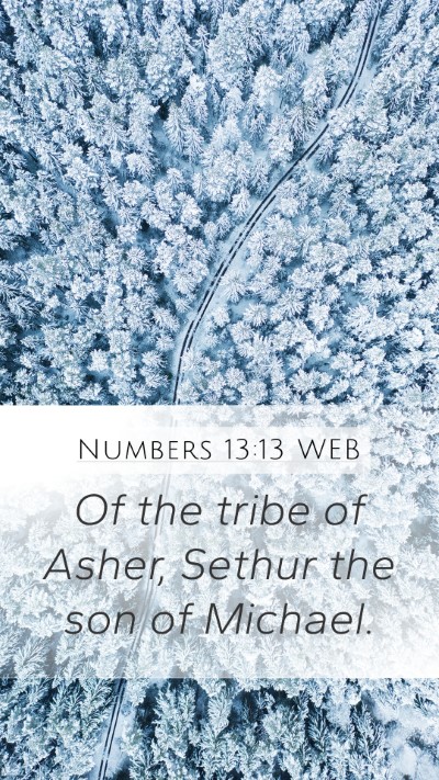 Numbers 13:13 WEB Mobile Phone Wallpaper - Of the tribe of Asher, Sethur the son of - Mobile Bible Verse Wallpaper