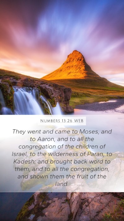 Numbers 13:26 WEB Bible Verse Image