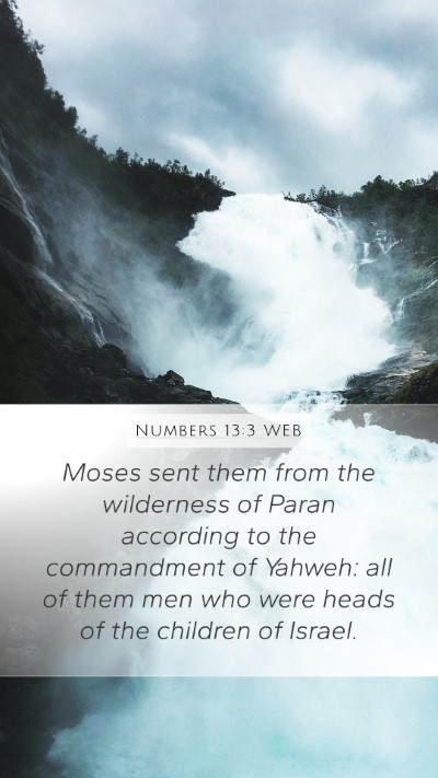 Numbers 13:3 WEB Bible Verse Image