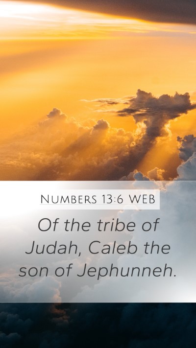 Numbers 13:6 WEB Bible Verse Image