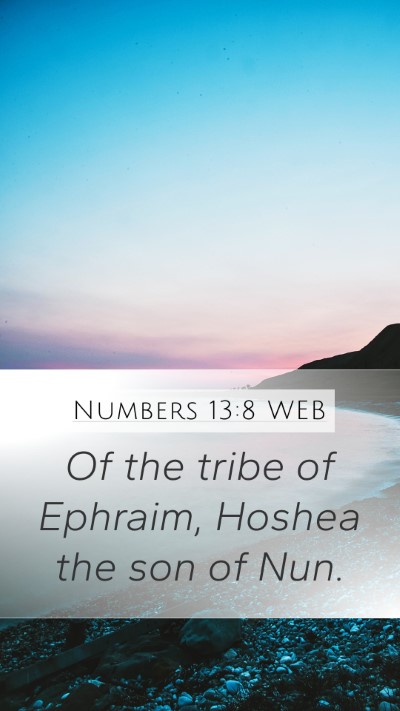 Numbers 13:8 WEB Mobile Phone Wallpaper - Of the tribe of Ephraim, Hoshea the son of - Mobile Bible Verse Wallpaper