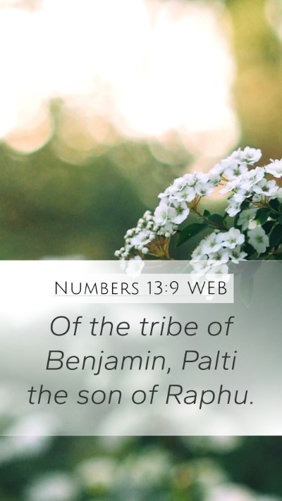 Numbers 13:9 WEB Mobile Phone Wallpaper - Of the tribe of Benjamin, Palti the son of - Mobile Bible Verse Wallpaper