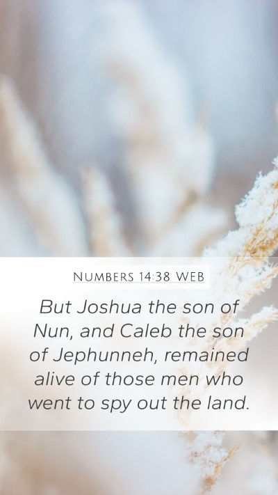 Numbers 14:38 WEB Bible Verse Image