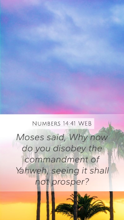 Numbers 14:41 WEB Mobile Phone Wallpaper - Moses said, Why now do you disobey the - Mobile Bible Verse Wallpaper