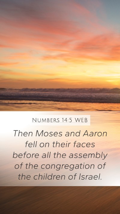 Numbers 14:5 WEB Bible Verse Image