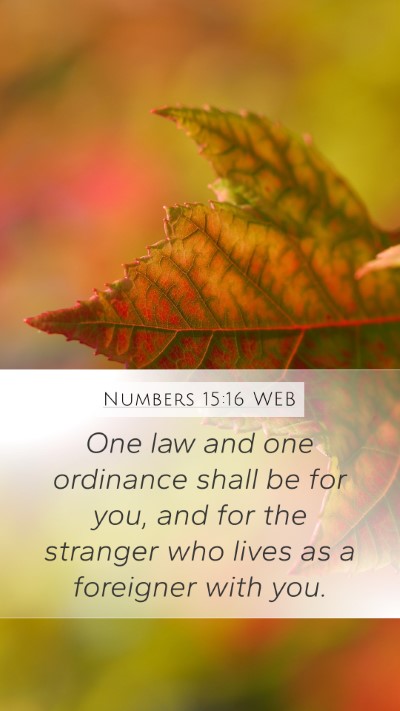 Numbers 15:16 WEB Bible Verse Image