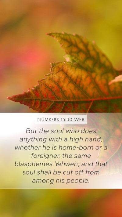 Numbers 15:30 WEB Bible Verse Image